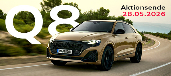 03Audi Q8 SUV